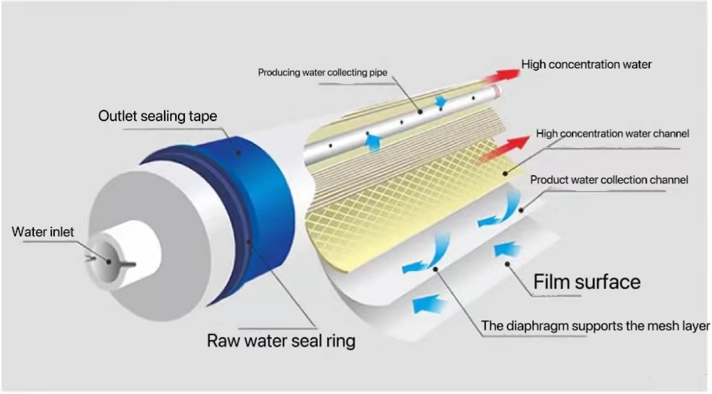 RO membrane